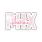 PHX Phoenix Airport Code Sticker