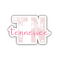 Tennessee State Code Sticker